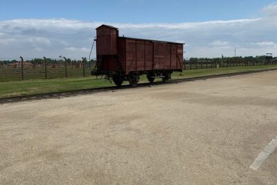 1 Day Trip Auschwitz-Birkenau Memorial and Museum Guided Tour from Krakow - Pre-booked admission: fewer delays, more meaning