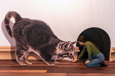 3D Fun Art Museum Funchal - Entering the 3D Fun: What Those Optical Illusions Feel Like