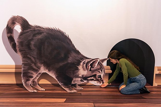 3D Fun Art Museum Funchal - Entering the 3D Fun: What Those Optical Illusions Feel Like