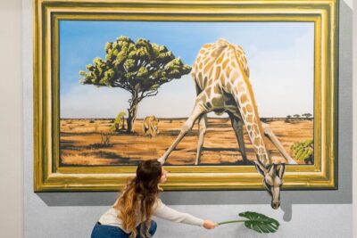 3D Fun Art Museum Porto Ticket - Your hour in Porto: a practical walkthrough of the visit