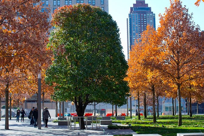 9/11 Memorial Tour with Optional Museum and One World Access - Survivor Tree: resilience you can actually see