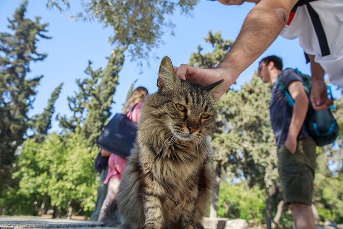 Acropolis of Athens, Ancient Agora and the Agora Museum Tour - What to Bring (and What Not to Bring) for a Smooth Walk