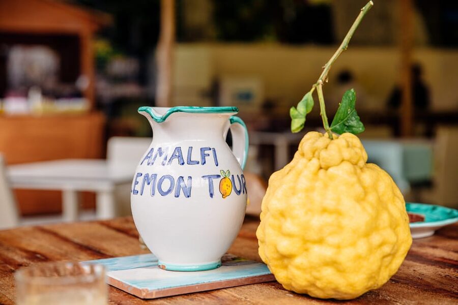 Amalfi: Vertical Lemon Farm Tour, Tastings, and Rural Museum - Price and value: what $41 buys you in Amalfi