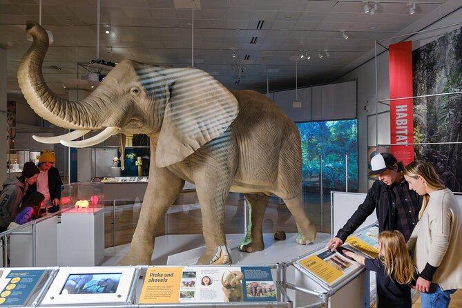 American Museum of Natural History Admission Ticket - Rose Center for Earth and Space + Richard Gilder Center: science you can touch
