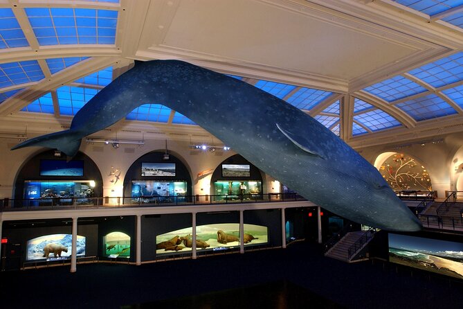 American Museum of Natural History Admission Ticket - What’s included vs what costs extra: don’t get surprised