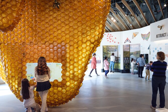 American Museum of Natural History Admission Ticket - Food, comfort, and stroller-friendly details that matter