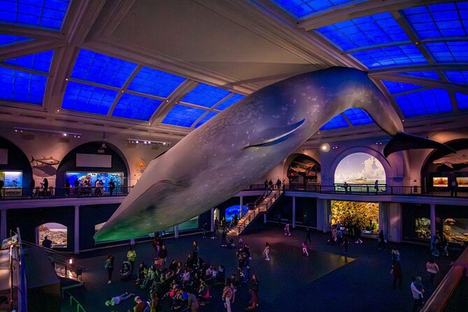 American Museum of Natural History Admission Ticket - Getting in: vouchers, QR codes, and grabbing your paper map