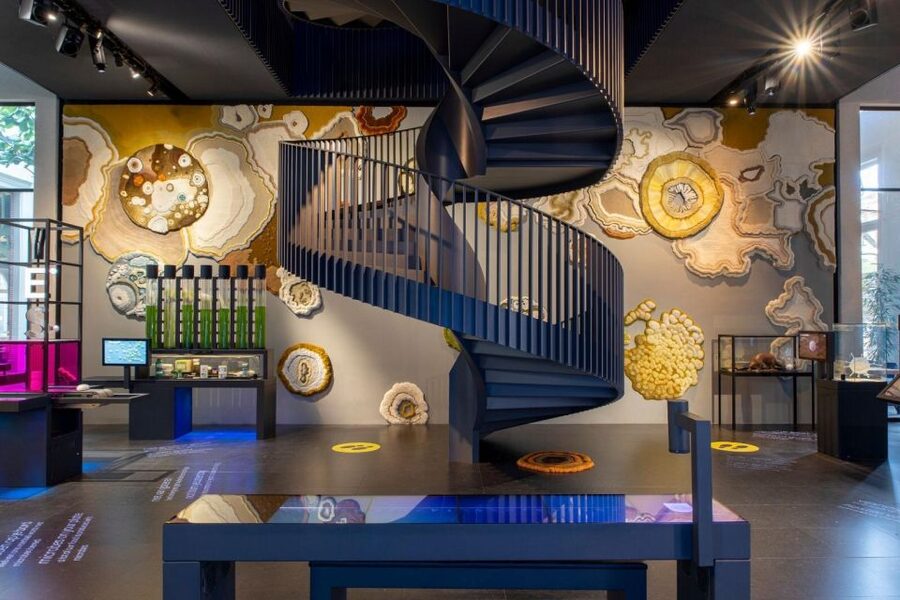 Amsterdam: ARTIS-Micropia Microbe Museum Entry Ticket - Daily Lab Talks at the Laboratorium: Real Science, Not Just Screens