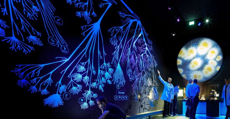 Amsterdam: ARTIS-Micropia Microbe Museum Entry Ticket - Price at About $21: When Micropia Feels Worth It