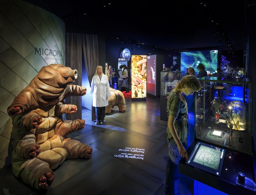 Amsterdam: ARTIS-Micropia Microbe Museum Entry Ticket - Should You Book the ARTIS-Micropia Microbe Museum Entry Ticket?