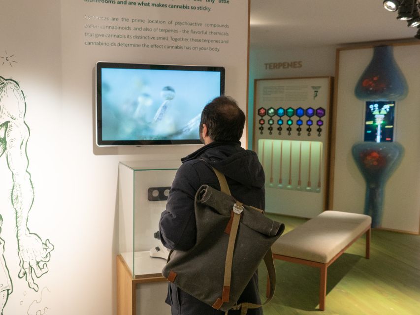 Amsterdam: Cannabis Museum Entry Ticket - The 3-floor layout that keeps your Amsterdam day moving