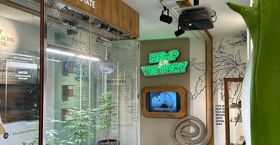 Amsterdam: Cannabis Museum Entry Ticket - History, origins, and how Amsterdam culture got wrapped in the story