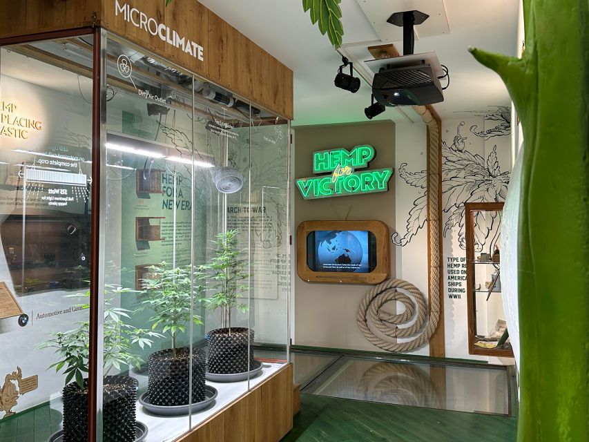 Amsterdam: Cannabis Museum Entry Ticket - Indoor ecosystem: live plants, microscope, and a cannabis testing machine