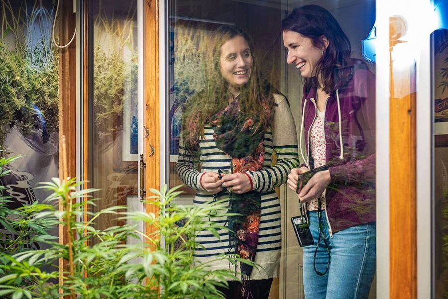 Amsterdam: Hash, Marihuana, and Hemp Museum Entry Ticket - Key highlights worth targeting