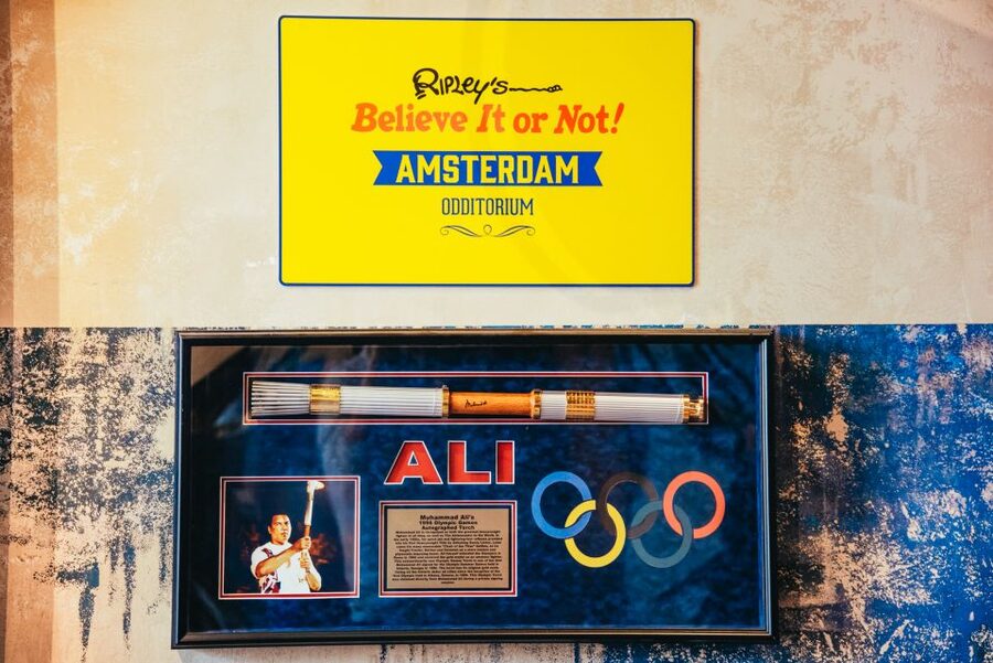 Amsterdam's Weirdest Museum: Ripley's Believe It or Not! - The top-floor lounge and the Dam Square bird’s-eye view