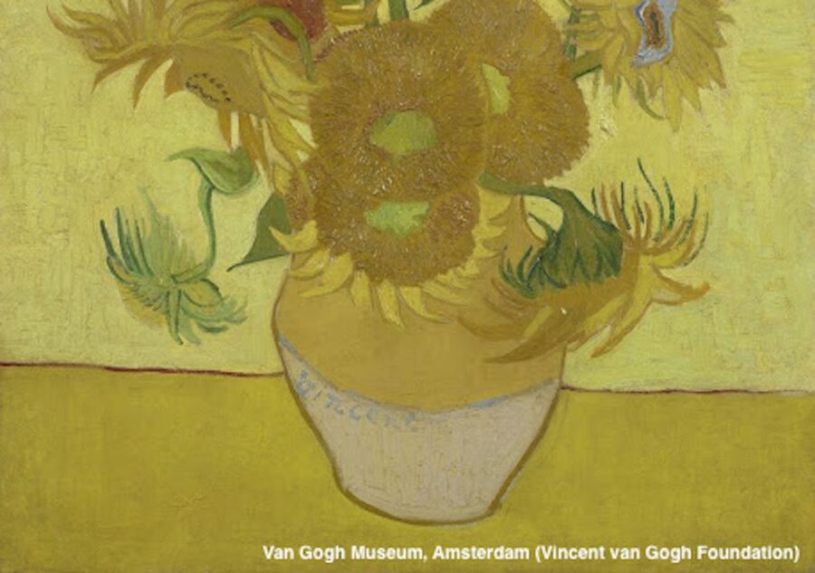 Amsterdam: Van Gogh Museum Guided Tour with Entry - Entering the Van Gogh Museum Without the Queue Headache