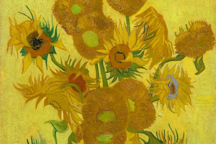 Amsterdam: Van Gogh Museum Ticket - Temporary Exhibitions: How They Change the Value of Your Ticket
