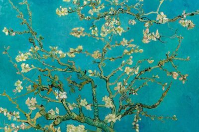 Amsterdam: Van Gogh Museum Ticket and City Canal Cruise - Van Gogh Museum timeslot: the one rule you cannot break