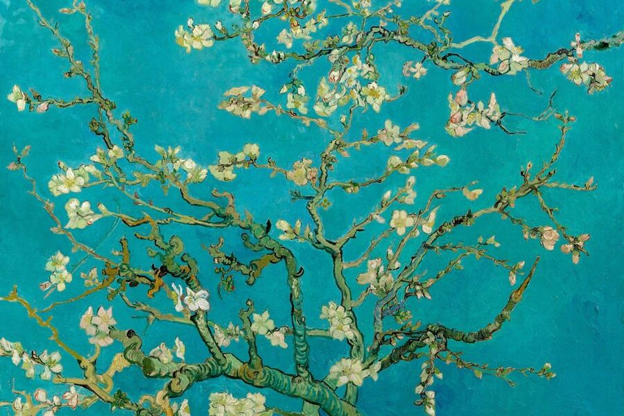 Amsterdam: Van Gogh Museum Ticket and City Canal Cruise - Van Gogh Museum timeslot: the one rule you cannot break