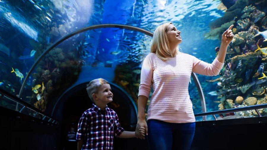 Antalya: Aquarium and Wax Museum Entry Ticket - Key highlights at a glance