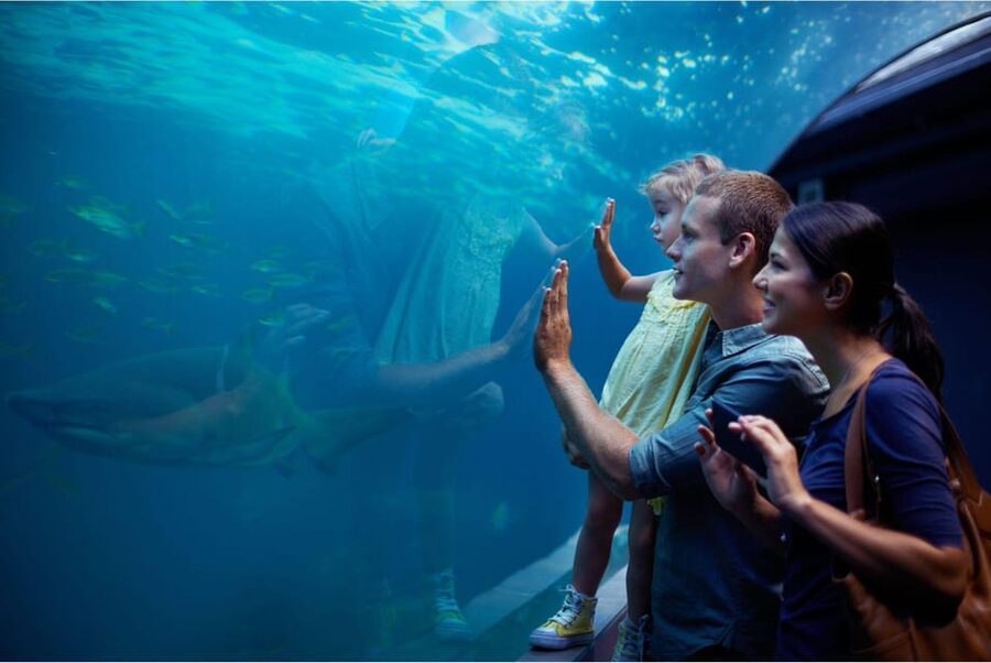 Antalya: Aquarium and Wax Museum Entry Ticket - A quick sense of value: what $47 buys you in Antalya