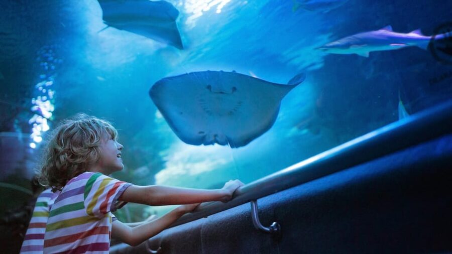 Antalya: Aquarium and Wax Museum Entry Ticket - Themed zones that make the walk feel like more than a tank room