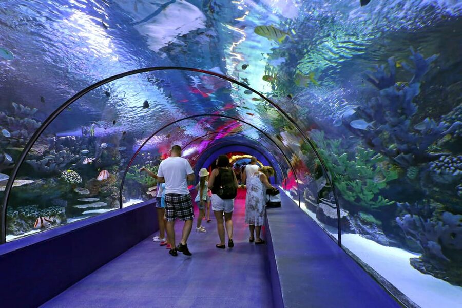 Antalya: Aquarium and Wax Museum Entry Ticket - Sharks, crocs, and the animals you’ll want to track down