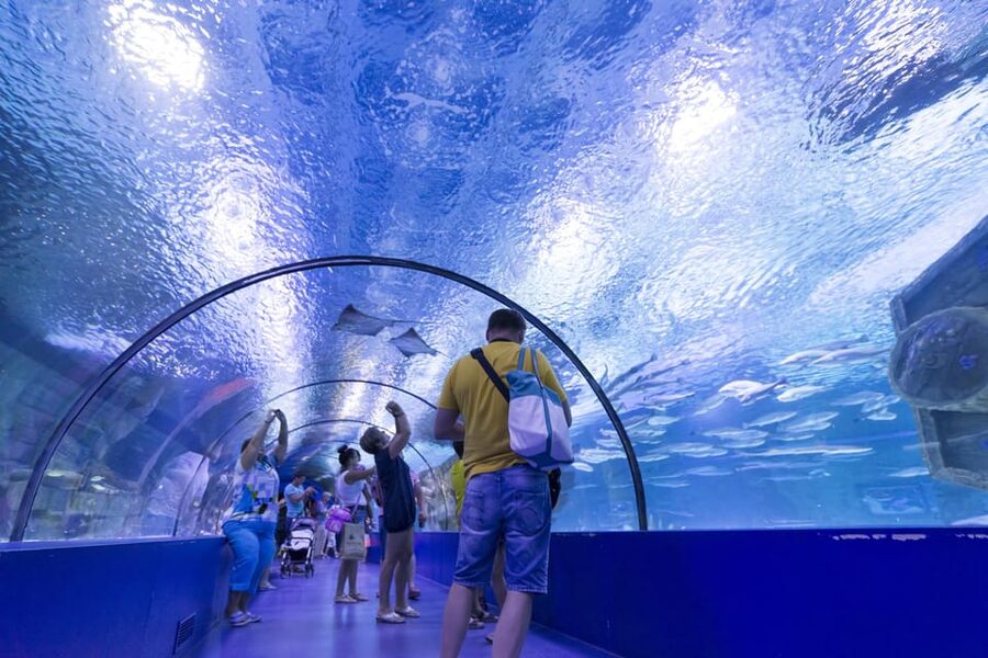 Antalya: Aquarium and Wax Museum Entry Ticket - XD cinema: when it fits, and when it’s not included