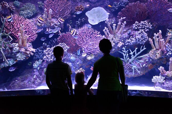 Antalya: Aquarium, Wax Museum & Combo Package Options - Antalya Aquarium and Wax Museum: a day built for wandering, not racing