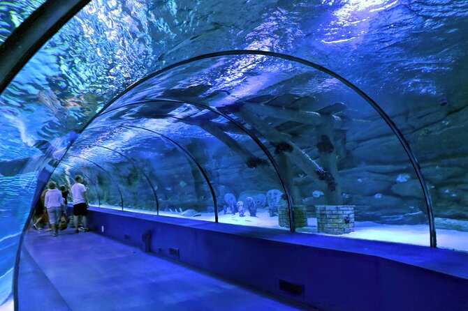 Antalya: Aquarium, Wax Museum & Combo Package Options - Tropical Reef and shark feeding: how to time it without stress