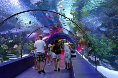 Antalya: Aquarium, Wax Museum & Combo Package Options - The 40 themed areas: rivers, oceans, and the Atlantis tunnel finale