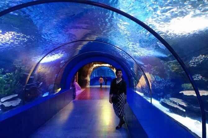 Antalya: Aquarium, Wax Museum & Combo Package Options - Best time to go and how to pace your route inside the aquarium
