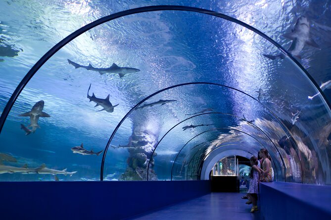 Antalya: Aquarium, Wax Museum & Combo Package Options - Should you book the Antalya Aquarium and Wax Museum combo?