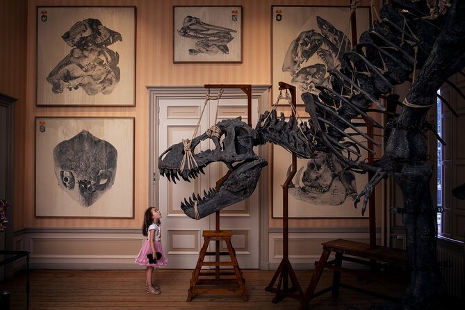 Art Zoo Museum Amsterdam Tickets - Key things to know before you go