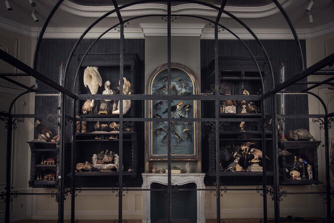 Art Zoo Museum Amsterdam Tickets - The main stop: Art Zoo Museum displays and the Darwin Sinke & Van Tongeren touch