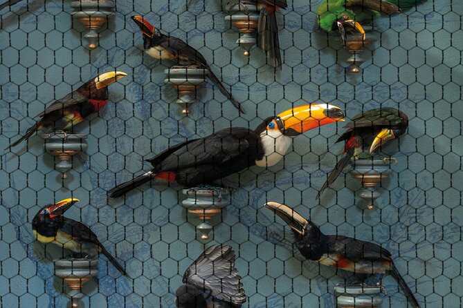 Art Zoo Museum Amsterdam Tickets - Using the English self-guided audio tour without wasting time