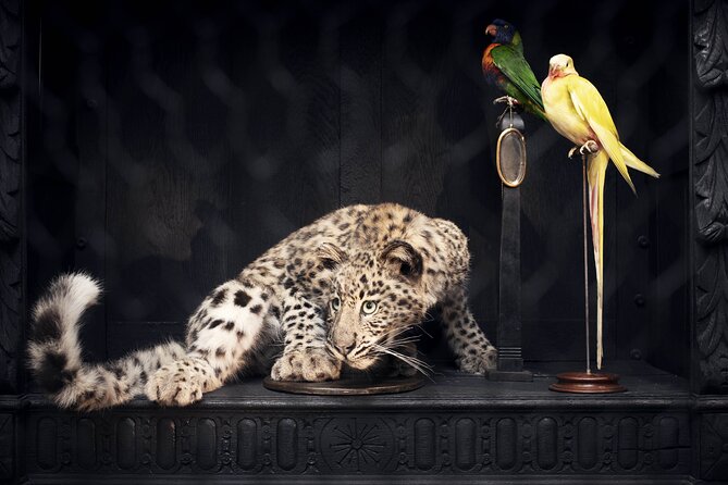 Art Zoo Museum Amsterdam Tickets - Garden time and coffee at the Italian bar: finishing the visit well