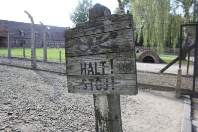 Auschwitz and Birkenau Memorial and Museum Guided Tour from Krakow - Getting tickets and group size: why this option often wins in Krakow