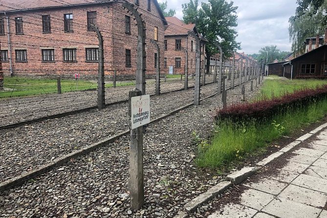 Auschwitz-Birkenau and Wieliczka Salt Mine Museum Guided Tour from Krakow - The guides and drivers: what makes this tour feel reliable