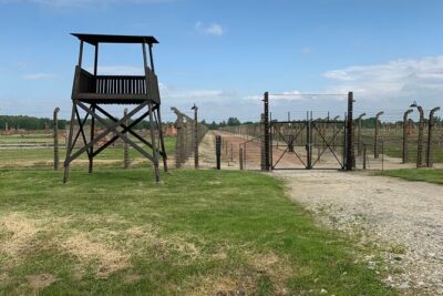 Auschwitz-Birkenau and Wieliczka Salt Mine Museum Guided Tour from Krakow - Auschwitz-Birkenau with an English guide: how the format helps
