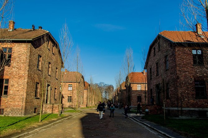 Auschwitz Birkenau Guided Tour Small Group with Hotel Pick up - Birkenau: the visual shock and why the guide matters