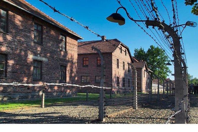 Auschwitz-Birkenau Museum and Memorial Guided Tour from Krakow - Price and logistics: whether this guided format is worth it