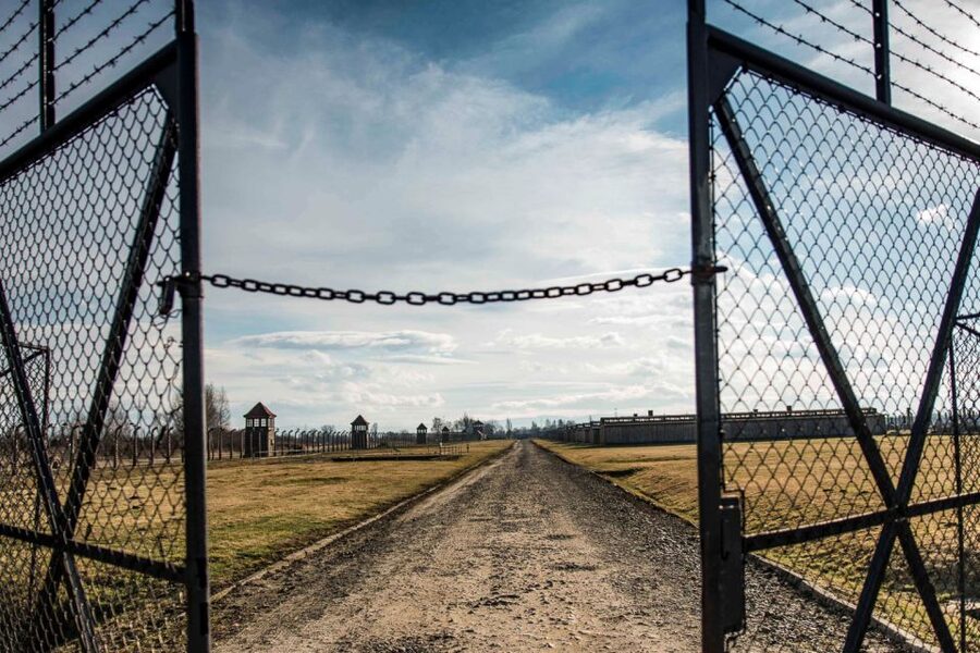 Auschwitz-Birkenau: Museum Entry Ticket with Guided Tour - Ticket + Guide: What This Format Really Does for You
