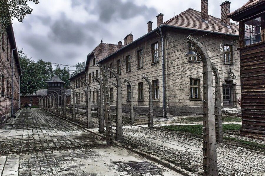 Auschwitz-Birkenau: Museum Entry Ticket with Guided Tour - The 30-Minute Break: When You Need Space