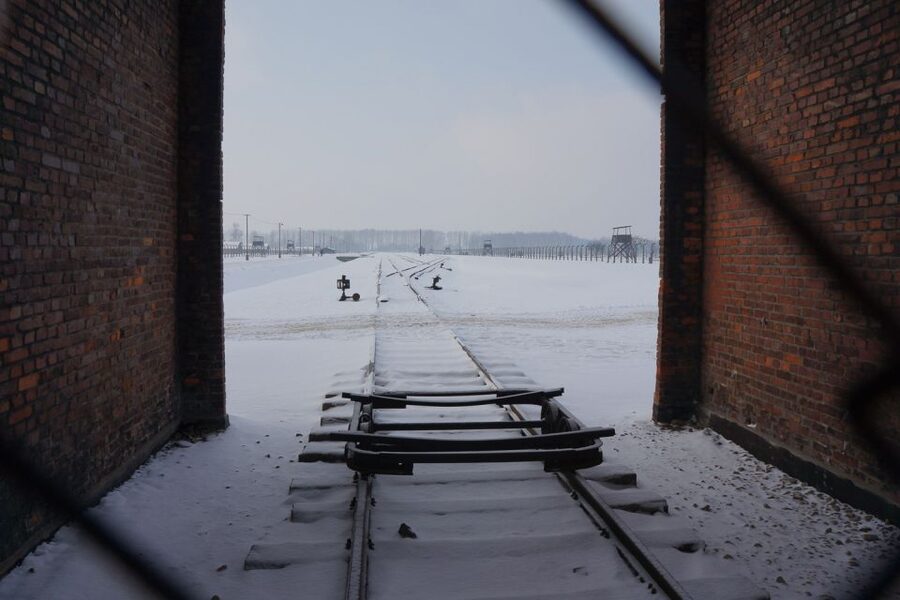 Auschwitz-Birkenau: Museum Entry Ticket with Guided Tour - Who This Tour Fits Best (and Who Should Rethink It)
