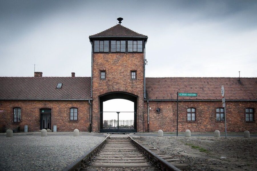 Auschwitz-Birkenau: Museum Entry Ticket with Guided Tour - Price and Value: Is $52 a Good Deal Here?