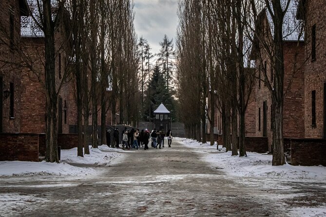Auschwitz Birkenau Tour from Krakow: Private Transfer + Ticket - Auschwitz I: walking into Auschwitz and what you actually get to see