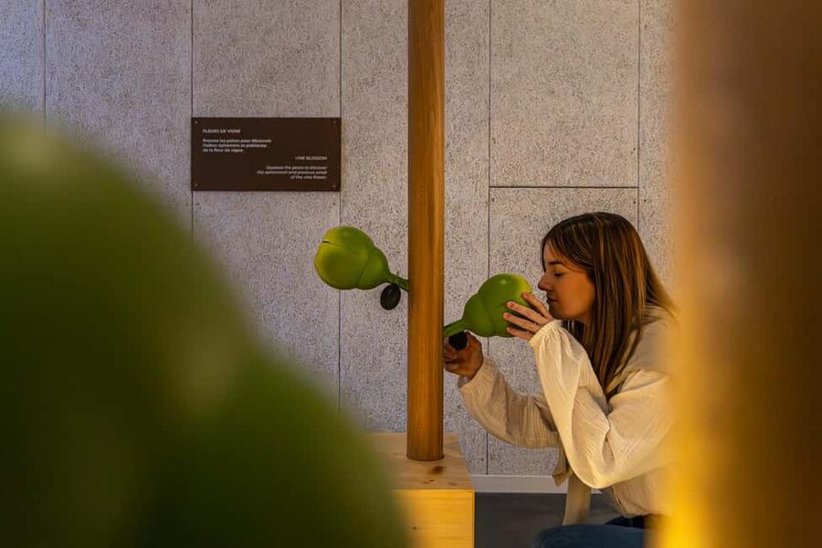 Aÿ-Champagne: Pressoria Champagne Museum with Tasting - Key things to know before you go