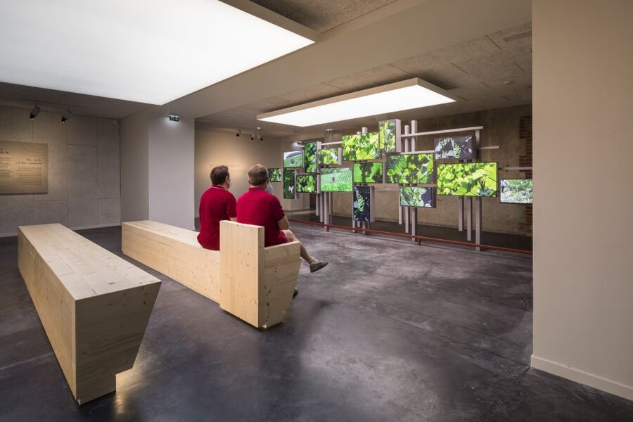 Aÿ-Champagne: Pressoria Champagne Museum with Tasting - Champagne from soil to sub-soil: why Aÿ matters