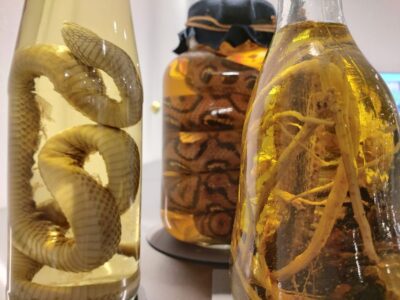 Berlin: Disgusting Food Museum Entry Ticket and Tasting - Ticket Value: Paying $20 for 90 Exhibits and Tastings
